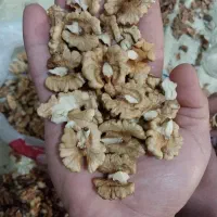 گردو مغز سفید روغن بالا