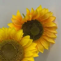 جذب پرسنل در سالن زیبایی (مسجد جامع)