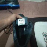 کفش نو|کیف، کفش، کمربند|فلاورجان, |دیوار