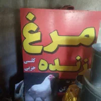 دستگاه پرکن|ماشین‌آلات صنعتی|فاضل آباد, |دیوار