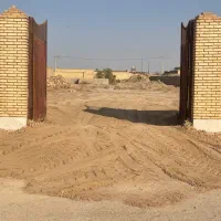 گل نر مجانی