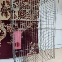 قفس پرنده یا حیوان خانگی