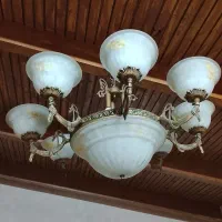 لستر برنز ۸شاخه