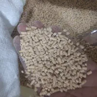 دانه پارس پس دان میان دان