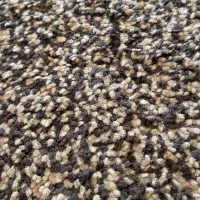 پالاز موکت پرز بلند|موکت|جوانرود, |دیوار