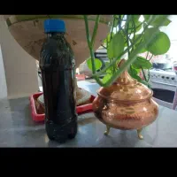 ریکای سیاه
