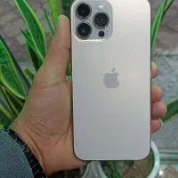 ایفون 13 نرمال و پرومکس 512|موبایل|شوش, |دیوار