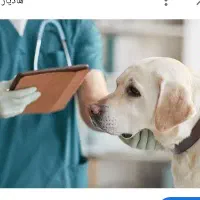 معاینات دامپزشک سیار