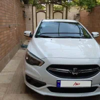 شاهین ساندروف دارکم کار