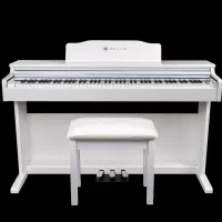 پیانو ( بلیتز / BLITZ )|پیانو، کیبورد، آکاردئون|تهران, مطهری|دیوار