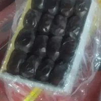 خرما رطب مضافتی دهشتر بم
