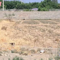 زمین-شهرک-زعفرانیه-500متر