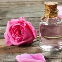 گلاب خونگی