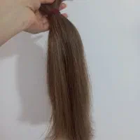 مو لایت شده|آرایشی، بهداشتی، درمانی|مرودشت, پشت سایپا|دیوار