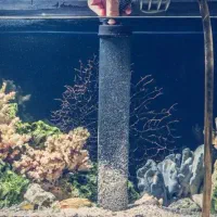 سرویس و راه اندازی اکواریوم