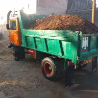 حمل و پخش کود گاوی گوسفندی درجه یک بدون آ|خدمات باغبانی و درختکاری|ملایر, |دیوار