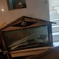 آکواریوم
