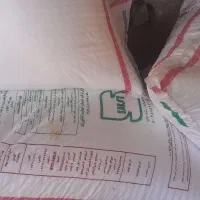 کودسفید