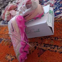 کفش استوک|کیف، کفش، کمربند|اهواز, دغاغله|دیوار