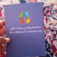 پامر|سگ|یاسوج, |دیوار