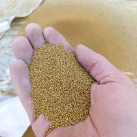 بذر|خدمات باغبانی و درختکاری|بکتاش, |دیوار