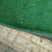 چمن و سایبان|فرش|نجف‌آباد, شیخ بهایی|دیوار