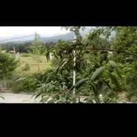 اقامتگاه سوییت آقاجون در روستای سرسبز وجنگلی|اجارهٔ کوتاه‌مدت آپارتمان و سوئیت|قرق, |دیوار