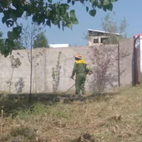 کلیه خدمات باغبانی پذیرفته میشود|خدمات باغبانی و درختکاری|رشت, پل تالشان|دیوار