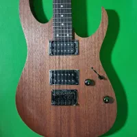 گیتار الکتریک آیبانز - Ibanez RG421 Mol