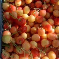 گیلاس شیشه ای