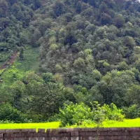 1000مترخانه محوطه سنتی  کوهپایه ای نو سازبوم‌گردی|فروش خانه و ویلا|فومن, |دیوار
