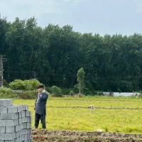 فروش زمین سرمایه گذاری/تکبرگ/ ش م ا ل