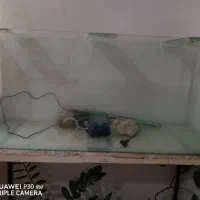 آکواریم با کلیه لوازم|ماهی|رشت, شهرک شهید مفتح|دیوار