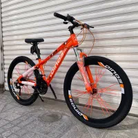 دوچرخه دینوس انتخابی مطمئن24.26|دوچرخه، اسکیت، اسکوتر|مشهد, هنرور|دیوار