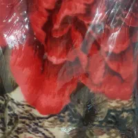 بعلت تغییر شغل فروش زیر قیمت بازار|رختخواب، بالش، پتو|خرم‌آباد, |دیوار