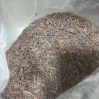 چای اعلا شمال