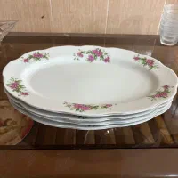 ظروف گل سرخی