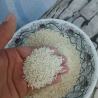 برنج درجه یک طارم هاشمی