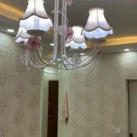دو عدد لوستر پرنسسی همراه با لامپ