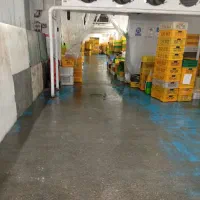 انبار لبنیات و خشک