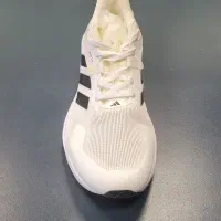 کتونی آدیداس|کیف، کفش، کمربند|رشت, کاکتوس|دیوار