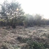 ۷۰۰متر زمین موروثی نزدیک بافت|فروش زمین و ملک کلنگی|عباس‌آباد, |دیوار