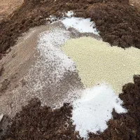 کود گوسفند و گاو پوسیده باگوگرد|خدمات باغبانی و درختکاری|یزد, |دیوار