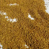 شبدربرسیم ضمانتی...یونجه کریس asl|عمدهفروشی|رشت, پارک شهر|دیوار