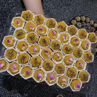 انجام تمام خدمات برای مراسم|خدمات پذیرایی، مراسم|شیراز, شهرک سراج‎|دیوار