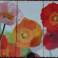 تابلو ۳ تکه