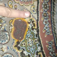 دو قطعه فرش قیطران 1000 شانه تراکم  3000|فرش|تهران, باشگاه نفت|دیوار