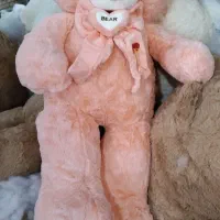 به چند همکار خانم نیاز مندیم