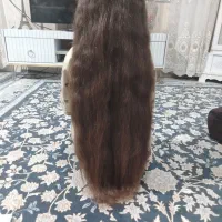 خرید و فروش موهای بلند بانوان|خدمات آرایشگری و زیبایی|دهگلان, |دیوار