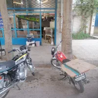 استخدام پیک فقط با کارت شناسایی زنک خور بالا